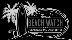 Beach Watch Logo